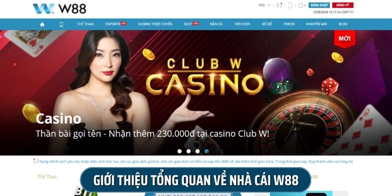 W88 là nhà cái cá cược cung cấp đa dạng các dịch vụ