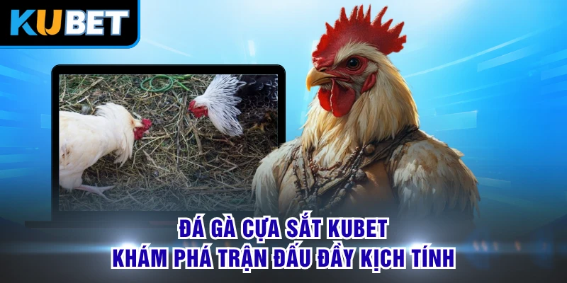Đá Gà Cựa Sắt KUBET - Khám Phá Trận Đấu Đầy Kịch Tính