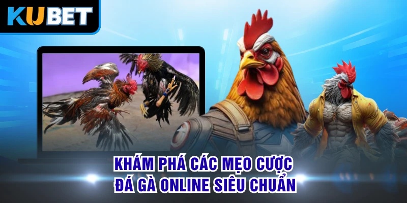 Khám phá các mẹo cược đá gà online siêu chuẩn