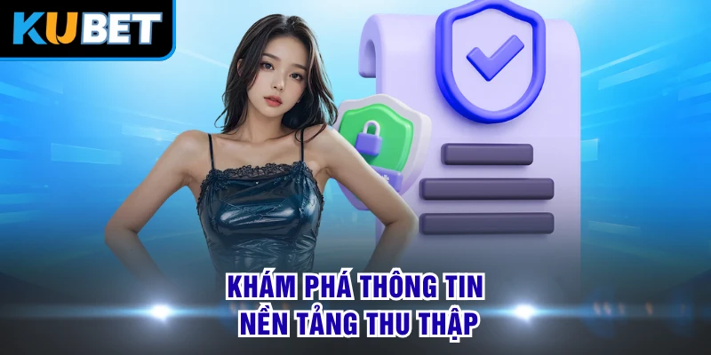 Khám phá thông tin nền tảng thu thập 